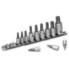 PERFORMANCE TOOL Torx Bit Set